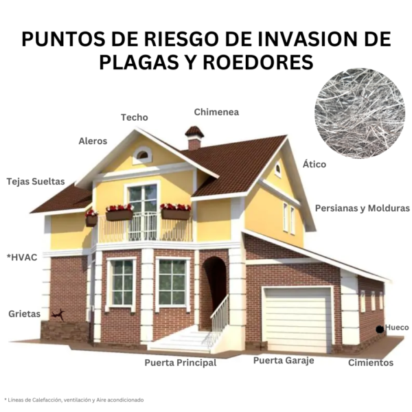 Puntos de Riesgo de ingreso roedores